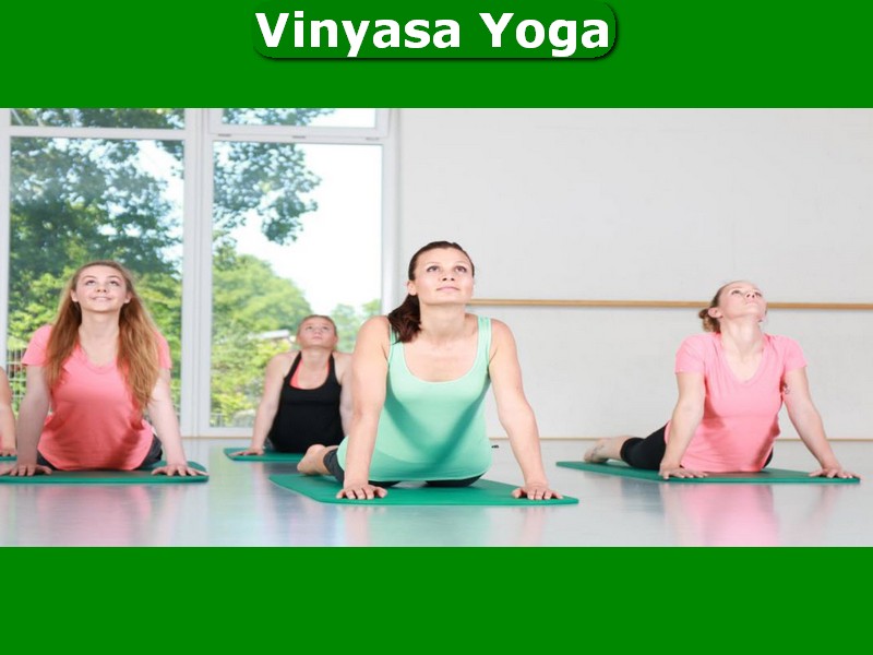 TSVBardowick Vinyasa Yoga