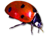 Captcha image 6223